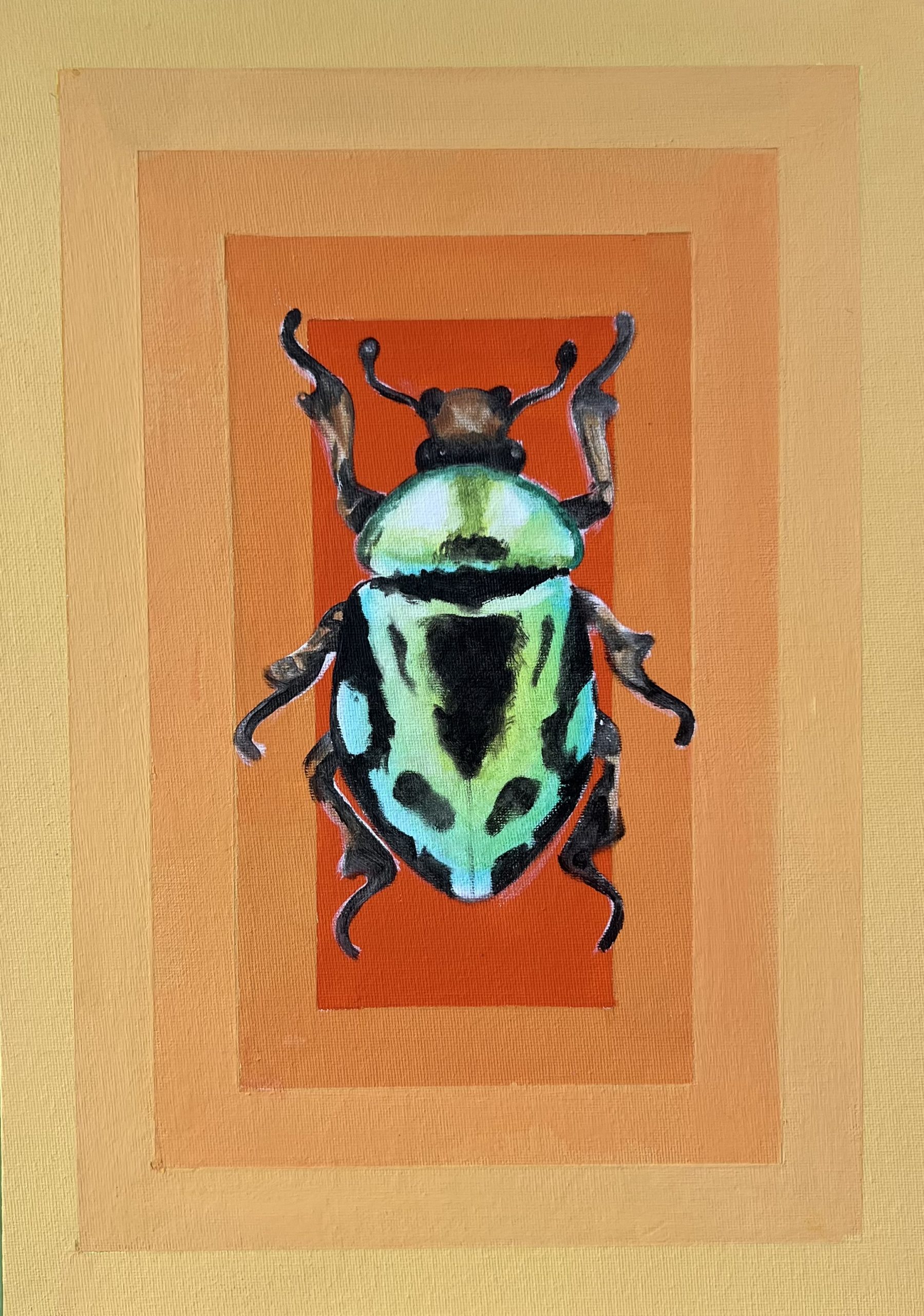 Orange Beetle