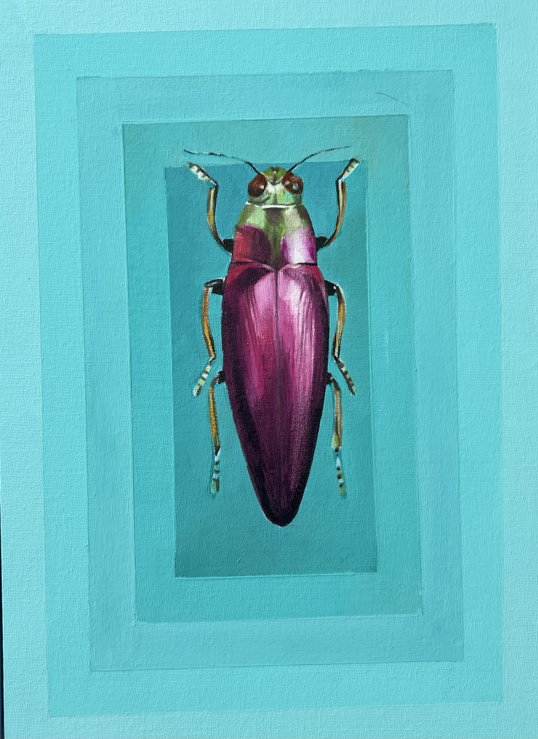Teal Beetle